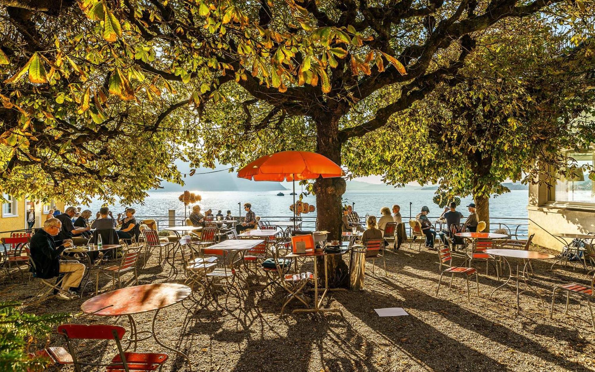Hotel Terrasse Am See Vitznau Eksteriør bilde